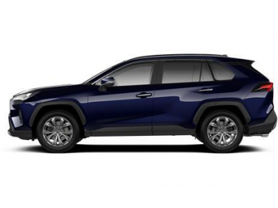 Toyota Rav4 Passion Hybrid 4x4 e-CVT